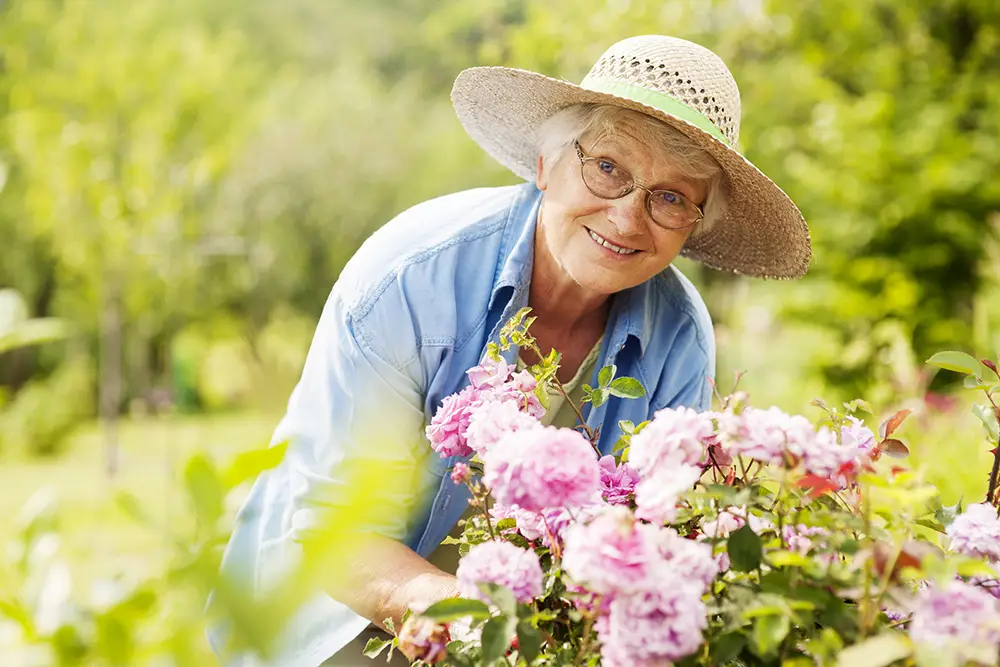 An older woman wearing a straw hat and glasses smiles while tending to pink flowers in a Sholom Senior Living garden. An older woman wearing a straw hat and glasses smiles while tending to pink flowers in a Sholom Senior Living garden.