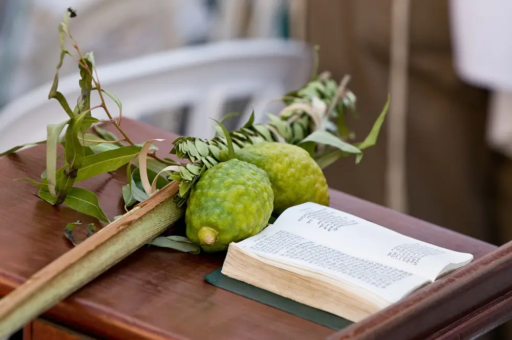 Lulav, citrons and prayer book Sholom Jewish Senior Living celebrating Sukkot