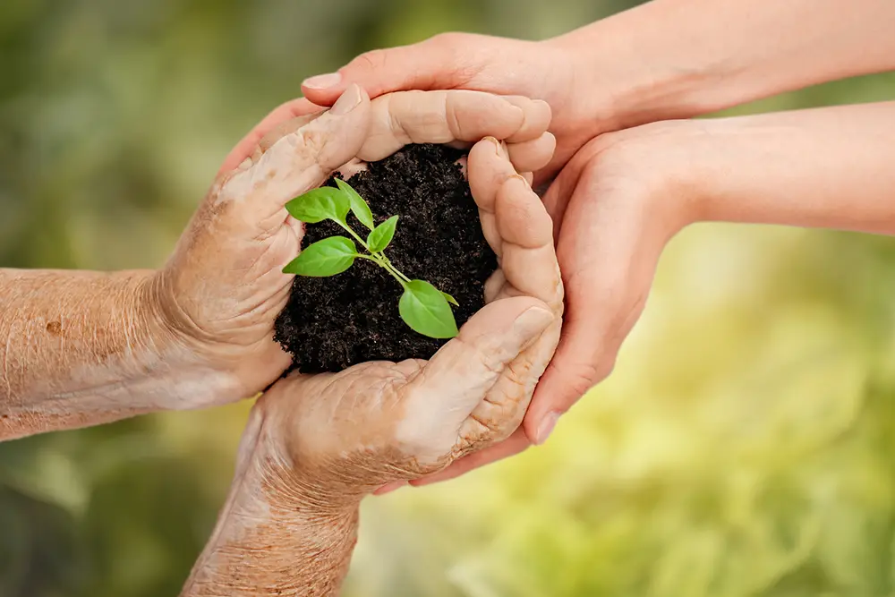 Generations join hands to nurture a green plant in rich soil, symbolizing sustainability, growth, legacy, and the shared responsibility of protecting nature What will be your legacy Sholom